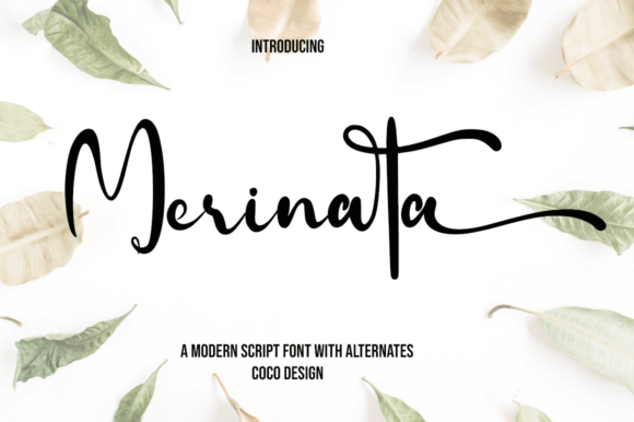Merinata Font Poster 1