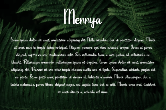 Merrya Font Poster 4