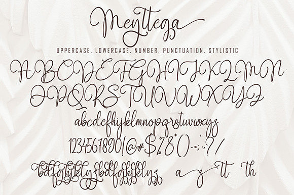 Meyttega Font Poster 8