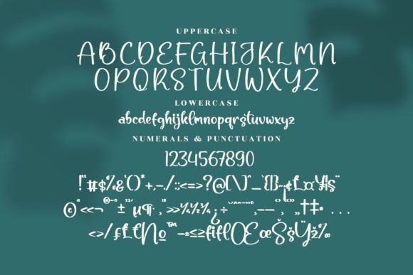 Michalina Font Poster 13