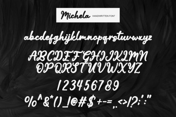 Michela Font Poster 6