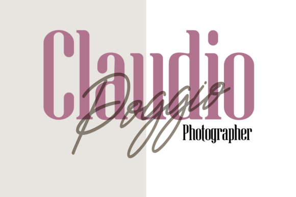 Michelle James Font Poster 6