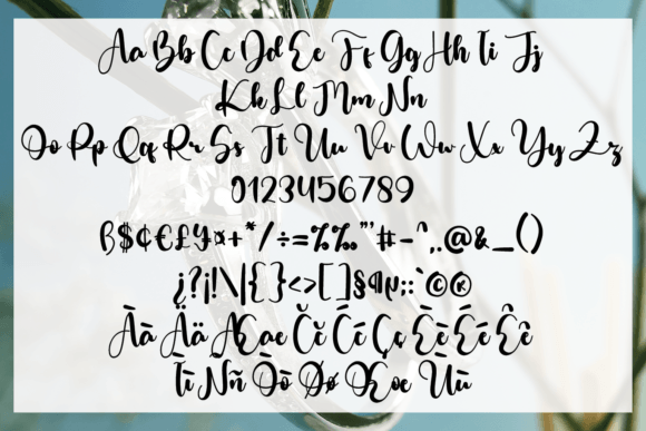 Midnight Font Poster 7