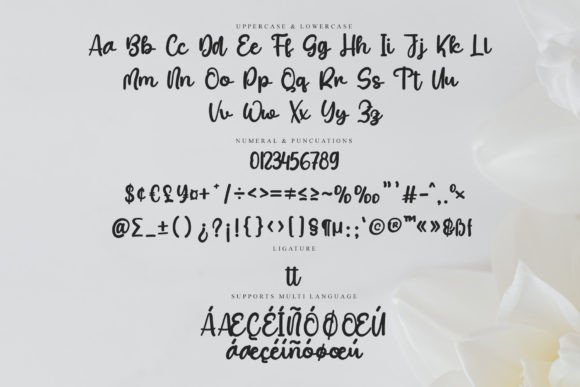 Midnight Font Poster 7