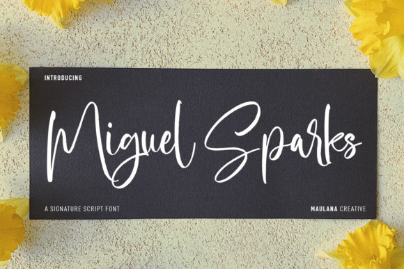 Miguel Sparks Font Poster 1