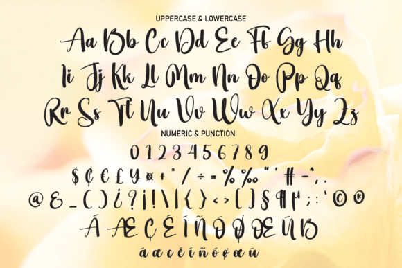 Mild Font Poster 7