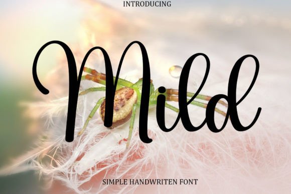 Mild Font