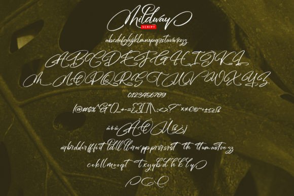 Mildway Font Poster 5