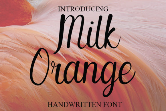 Milk Orange Font Poster 1