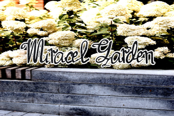 Miracel Garden Font Poster 1