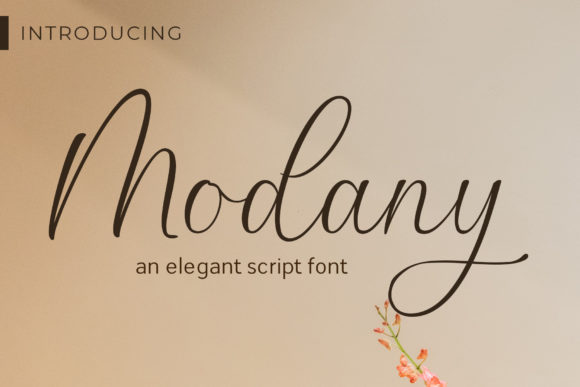 Modany Font Poster 1