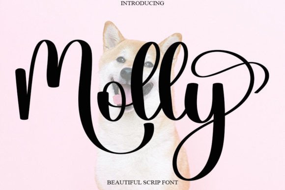 Molly Font