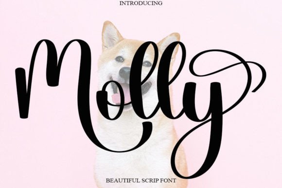 Molly Font Poster 1