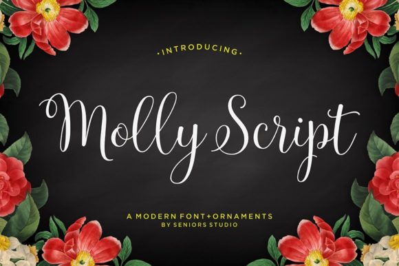 Molly Font Poster 1