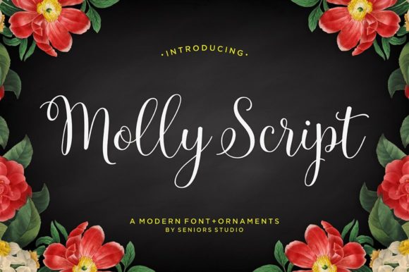 Molly Font Poster 1
