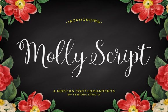 Molly Font