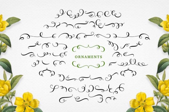 Molly Font Poster 11