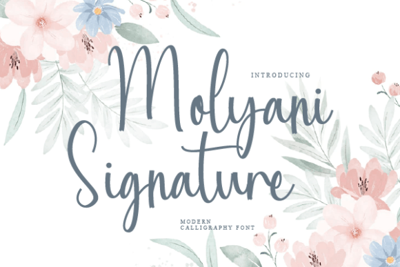 Molyani Signature Font Poster 1