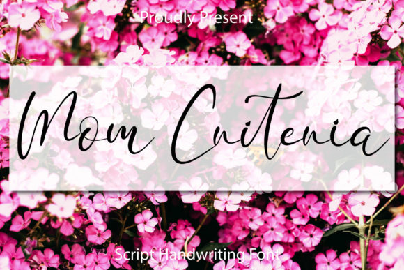 Mom Criteria Font Poster 2