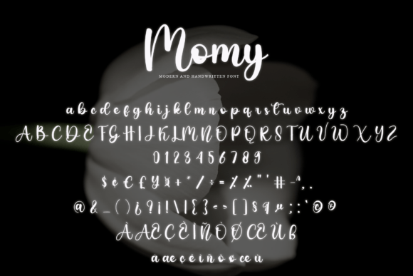 Momy Font Poster 6
