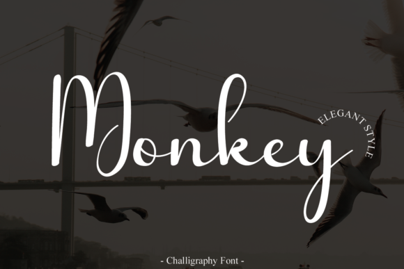 Monkey Font