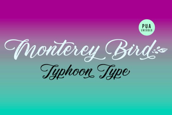 Monterey Bird Font Poster 3