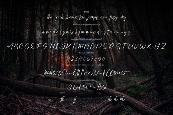 Monthina Font Poster 6