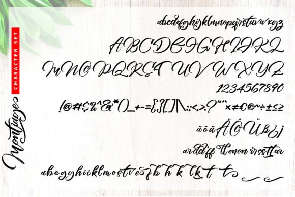 Montiage Font Poster 5