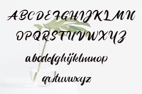 Montiran Font Poster 5