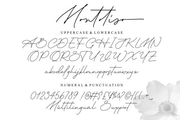 Montoliso Font Poster 9