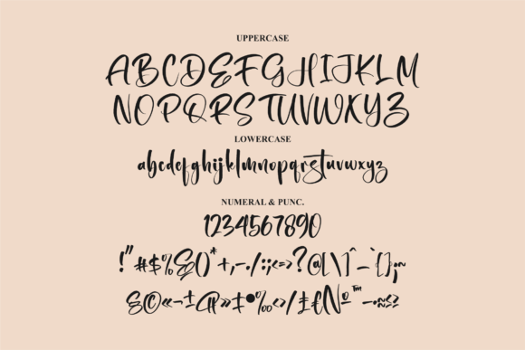 Monttas Raillary Font Poster 13