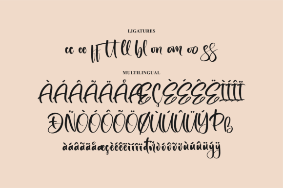 Monttas Raillary Font Poster 14