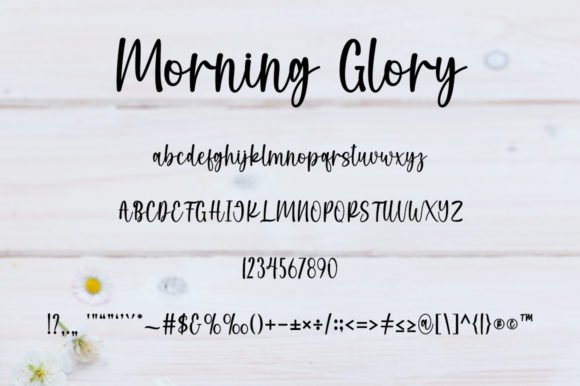 Morning Glory Font Poster 3