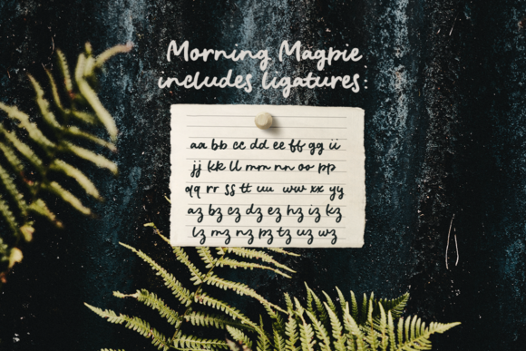 Morning Magpie Font Poster 6