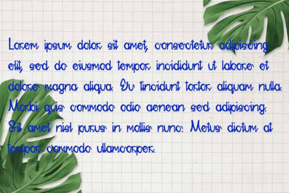 Mushroom Land Font Poster 3