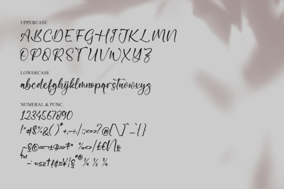 Mylantyka Font Poster 13