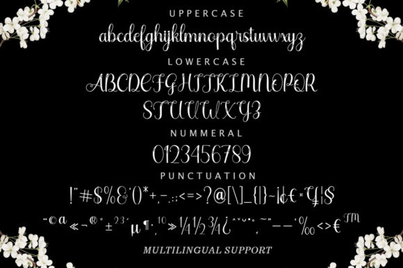 Nadya Bella Font Poster 7