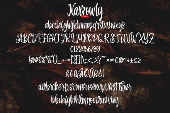 Narrowly Font Poster 5