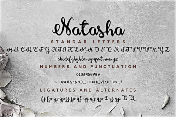 Natasha Font Poster 8