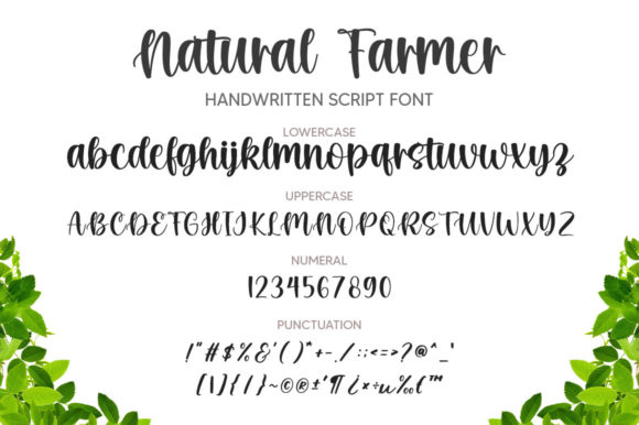 Natural Farmer Font Poster 6