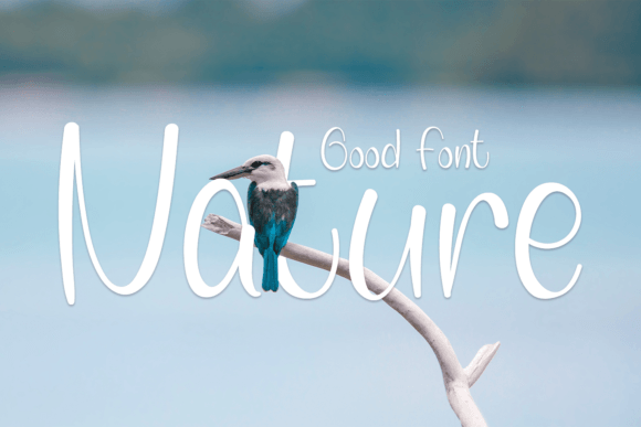 Nature Font Poster 1