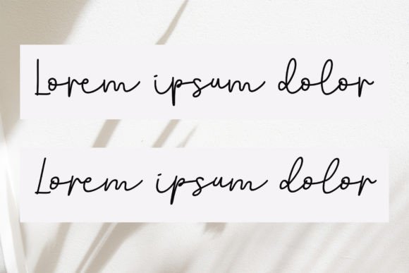 Nellisa Font Poster 5