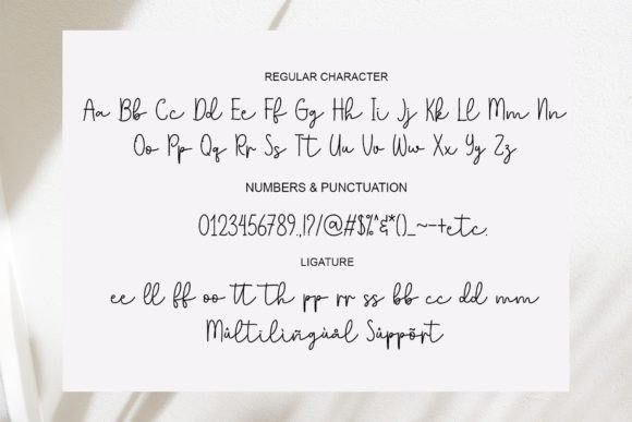 Nellisa Font Poster 6