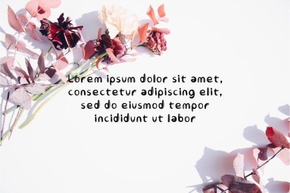 Nendora Font Poster 2
