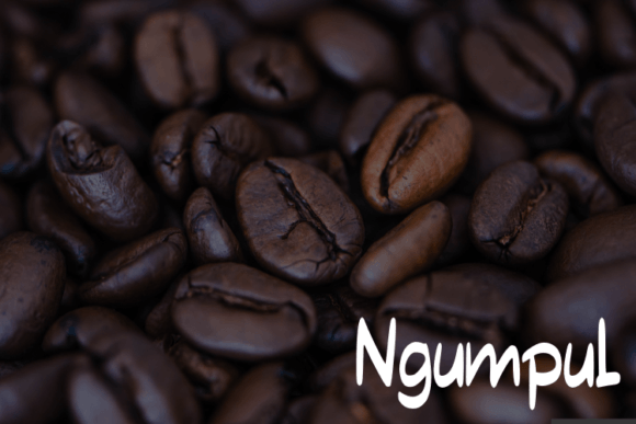 Ngumpul Font Poster 4