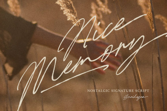 Nice Memory Font Poster 13