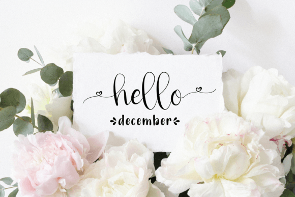 Nicola Aquine Font Poster 6