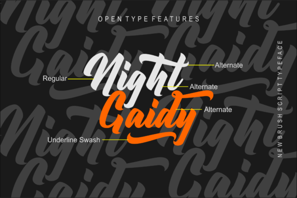 Night Gaidy Font Poster 2