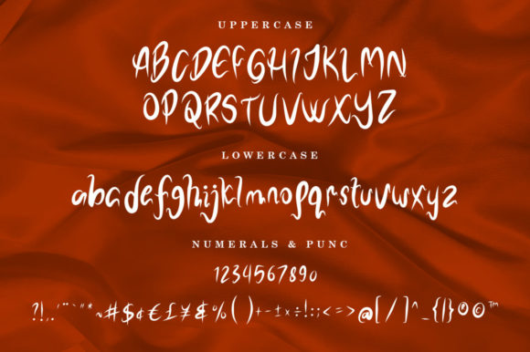 Noel Alexander Font Poster 9