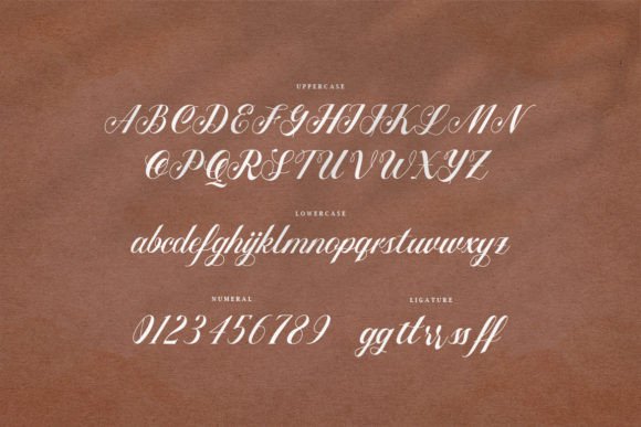 Noela Nestani Font Poster 2